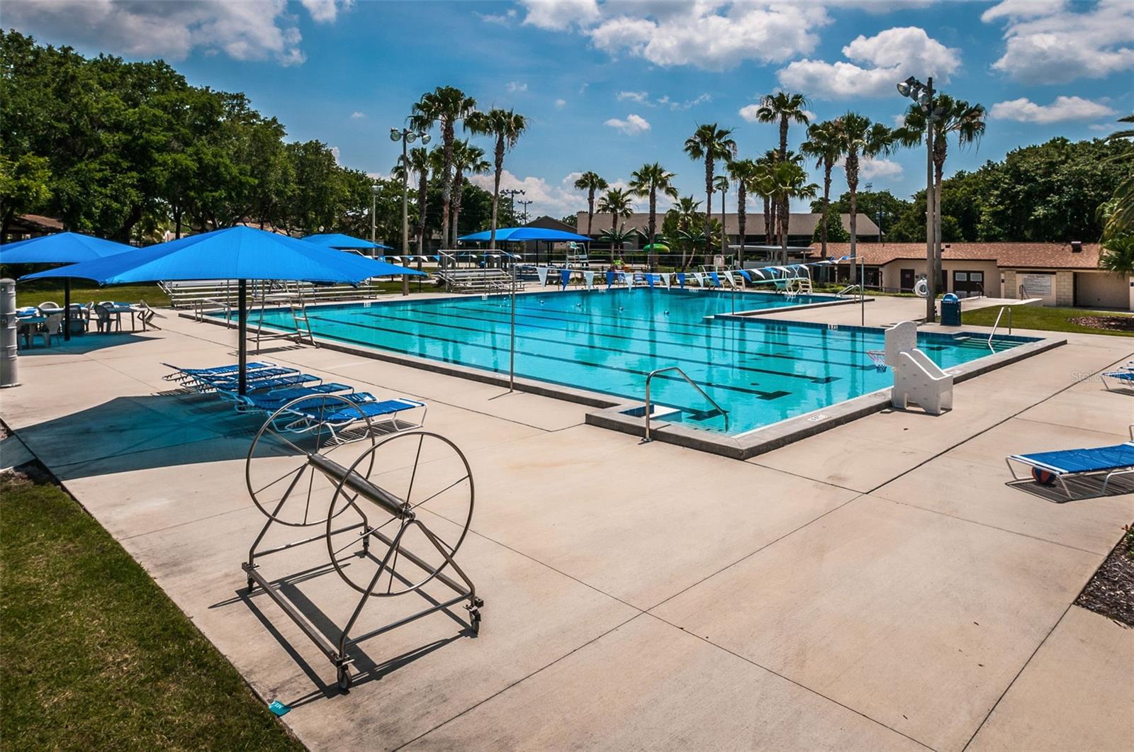 1368 WILLIAMS DR, CLEARWATER, FL, 33764