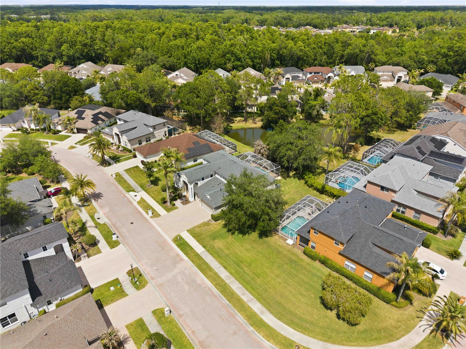 10436 CANARY ISLE DR, TAMPA, FL, 33647