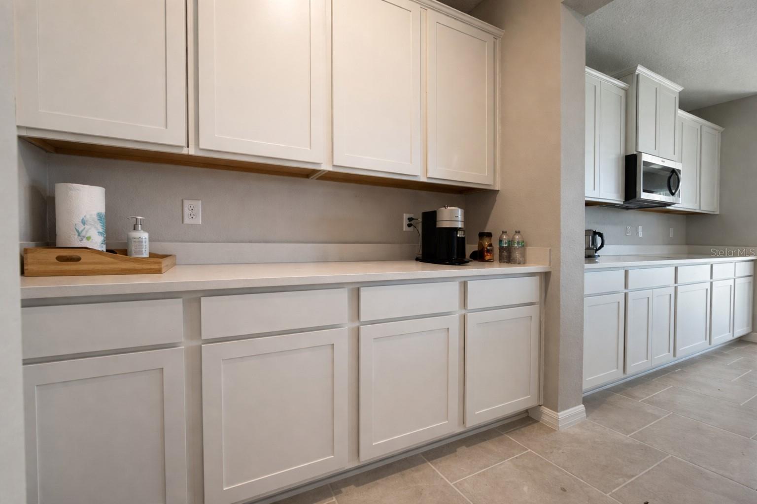33546 DARLEY DALE TRL, WESLEY CHAPEL, FL, 33545