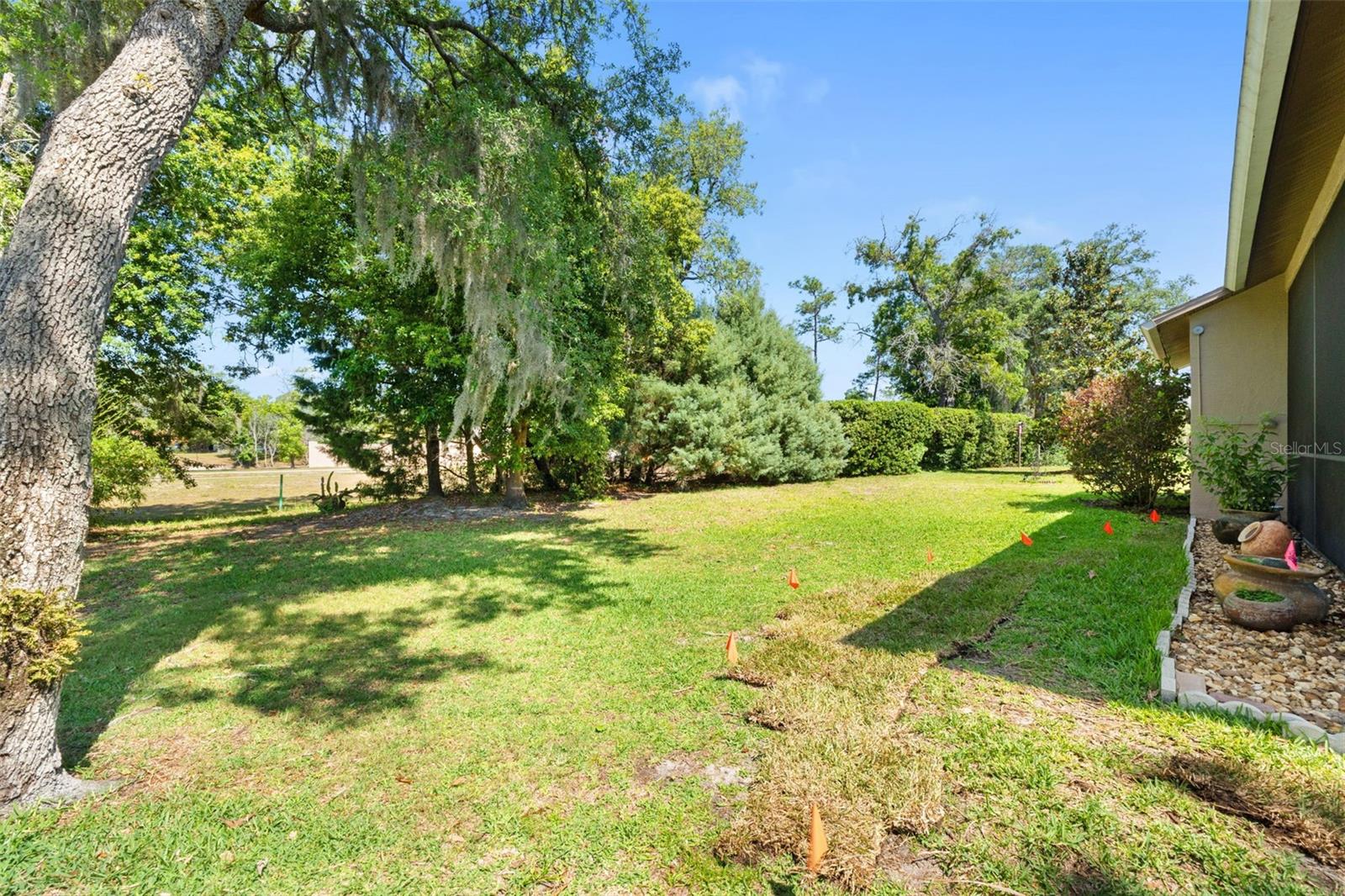 10311 PINENEEDLES DR, NEW PORT RICHEY, FL, 34654