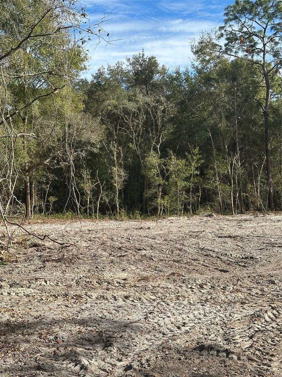 BERRYHILL DR, WEBSTER, FL, 33597