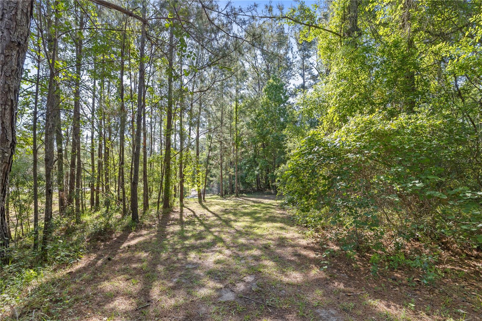 22250 DEER PARK AVE, EUSTIS, FL, 32736