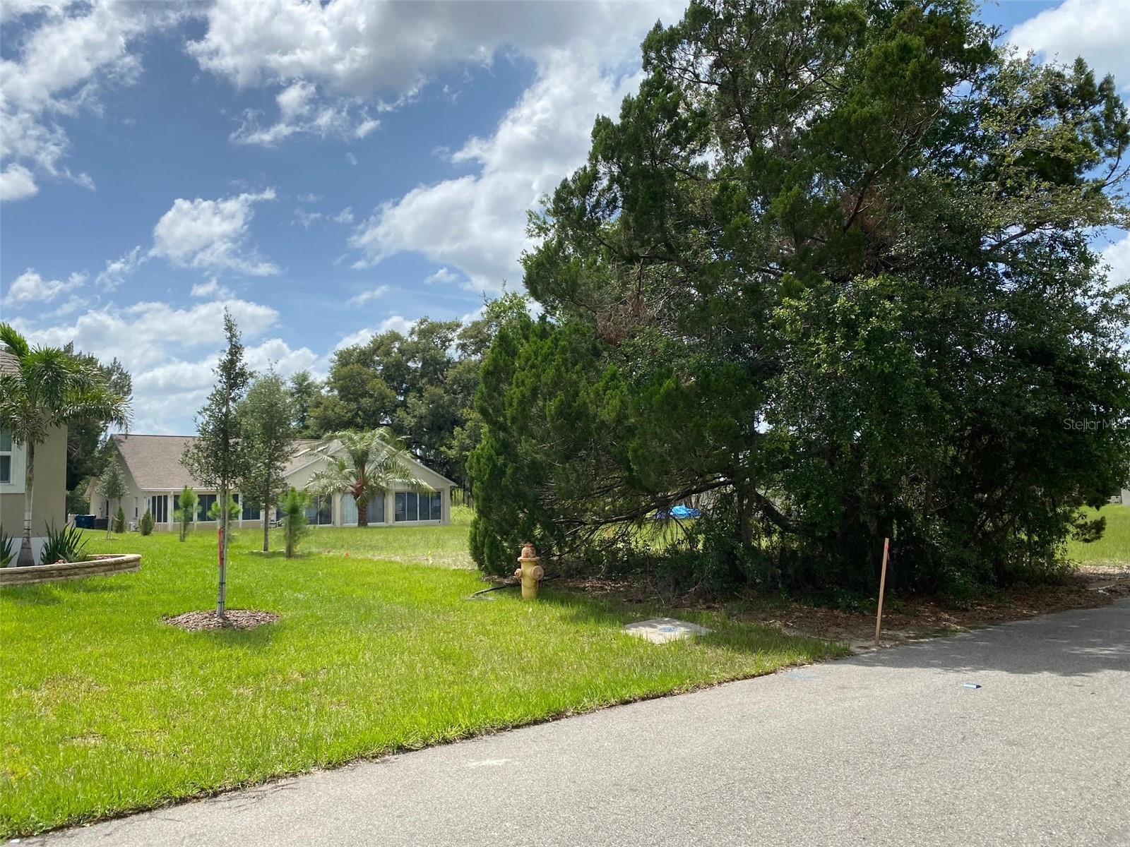 Lot 194 CHESTNUT RIDGE RD, DADE CITY, FL, 33523