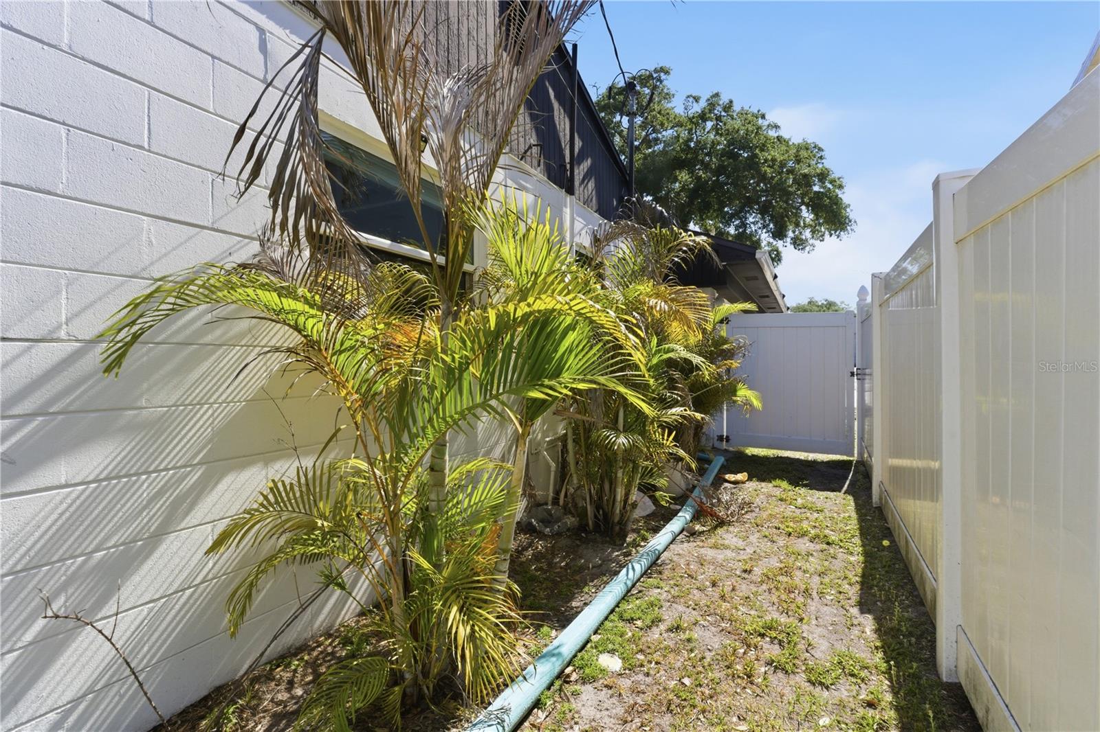 7005 N DUNCAN AVE, TAMPA, FL, 33604