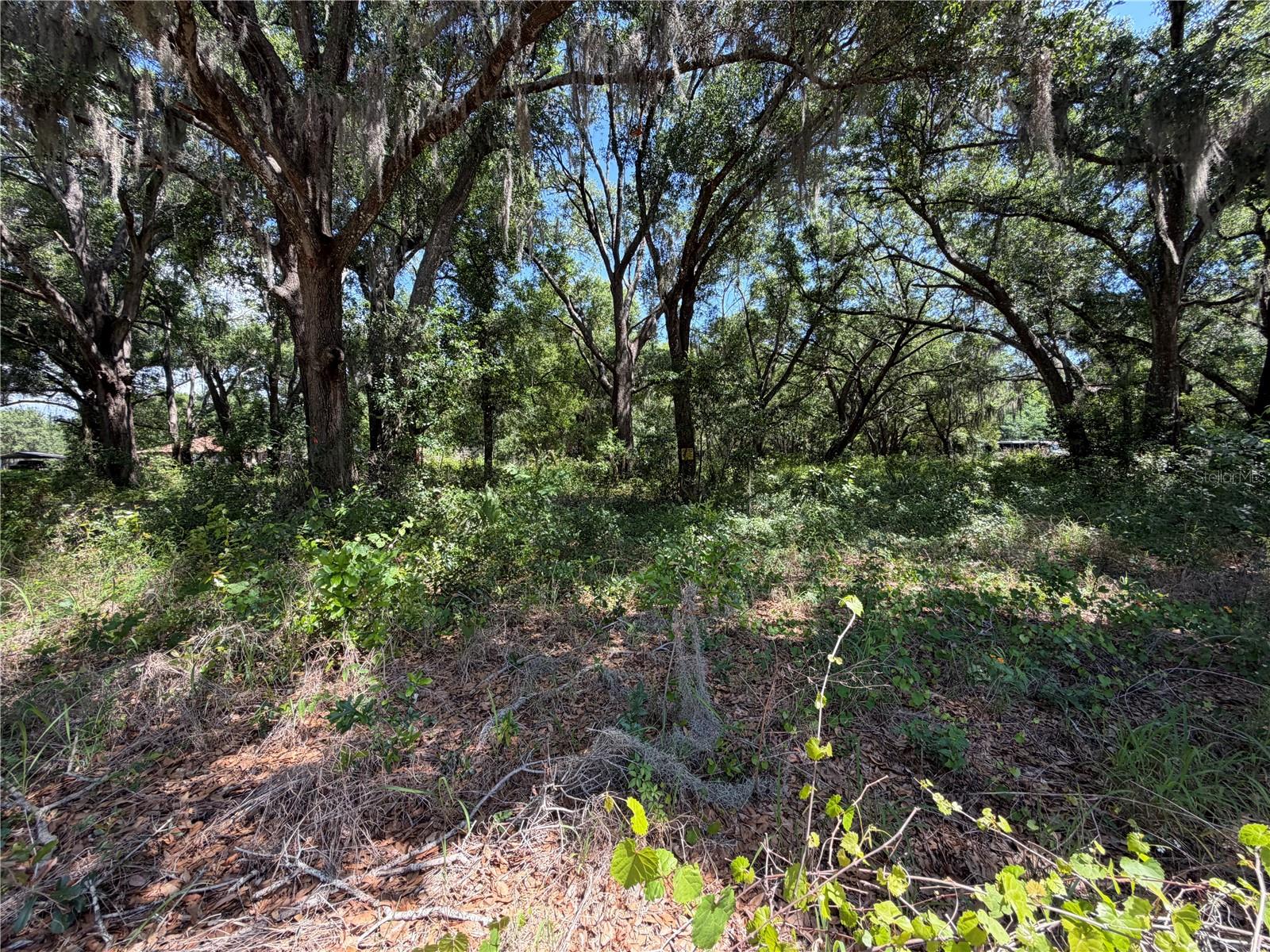 DORA DR, MOUNT DORA, FL, 32757
