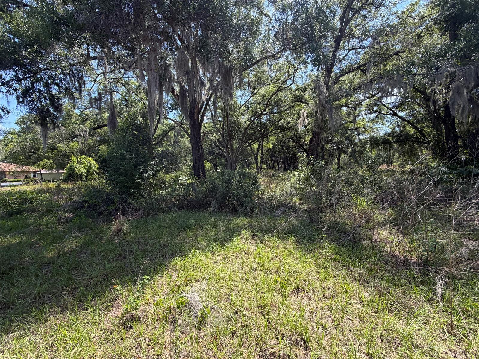 DORA DR, MOUNT DORA, FL, 32757