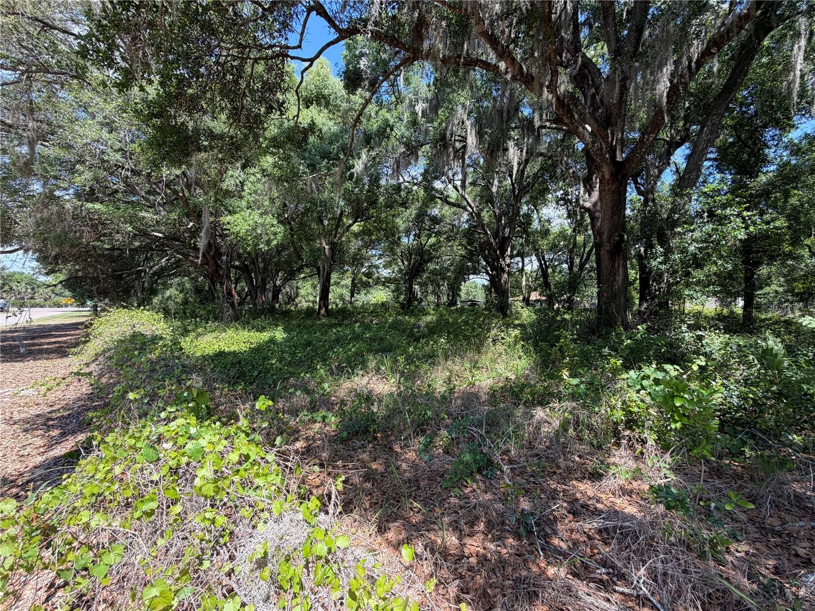 DORA DR, MOUNT DORA, FL, 32757