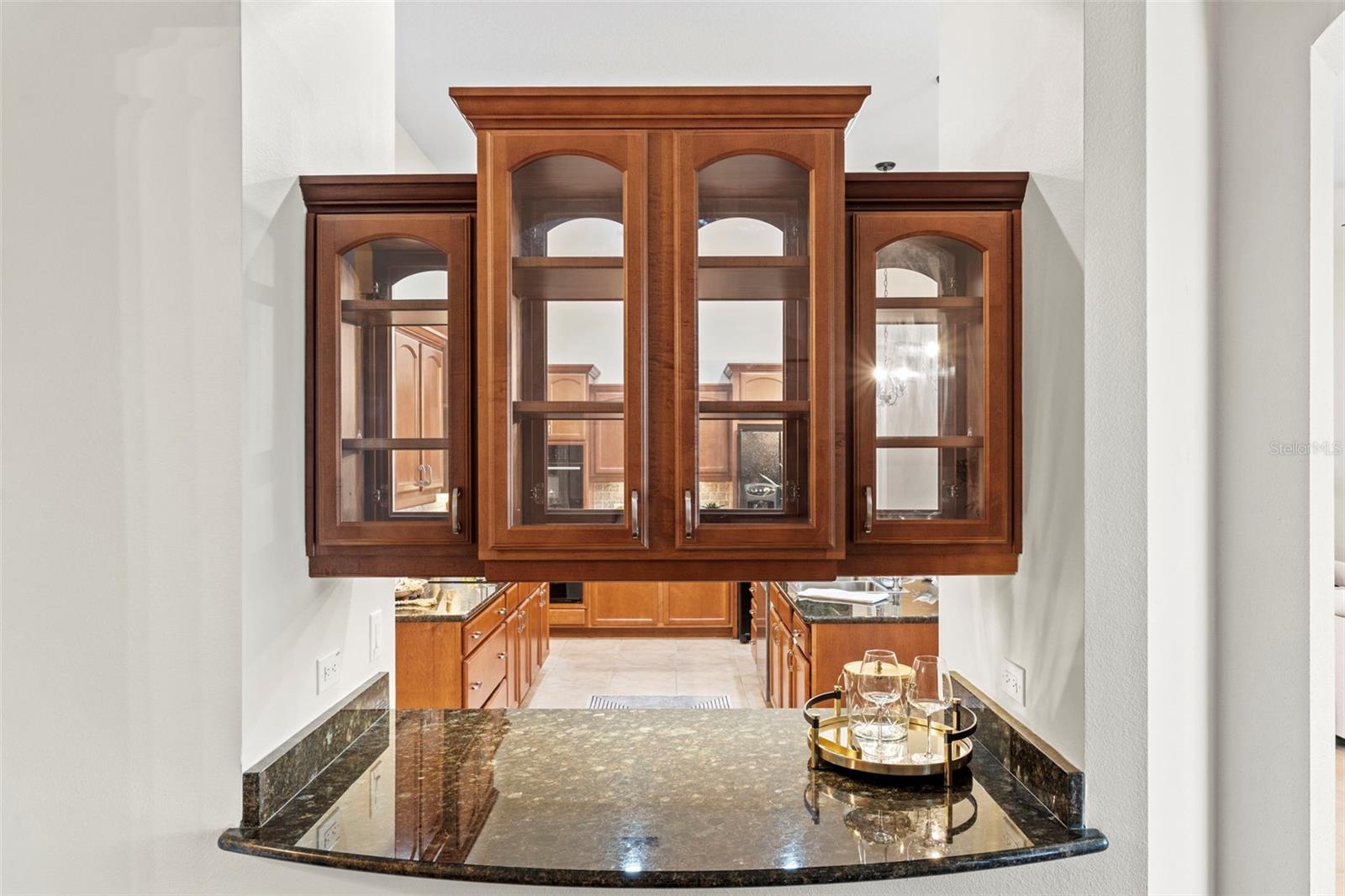 23316 GRACEWOOD CIR, LAND O LAKES, FL, 34639