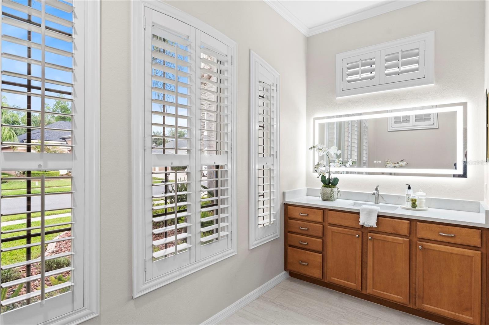 23316 GRACEWOOD CIR, LAND O LAKES, FL, 34639