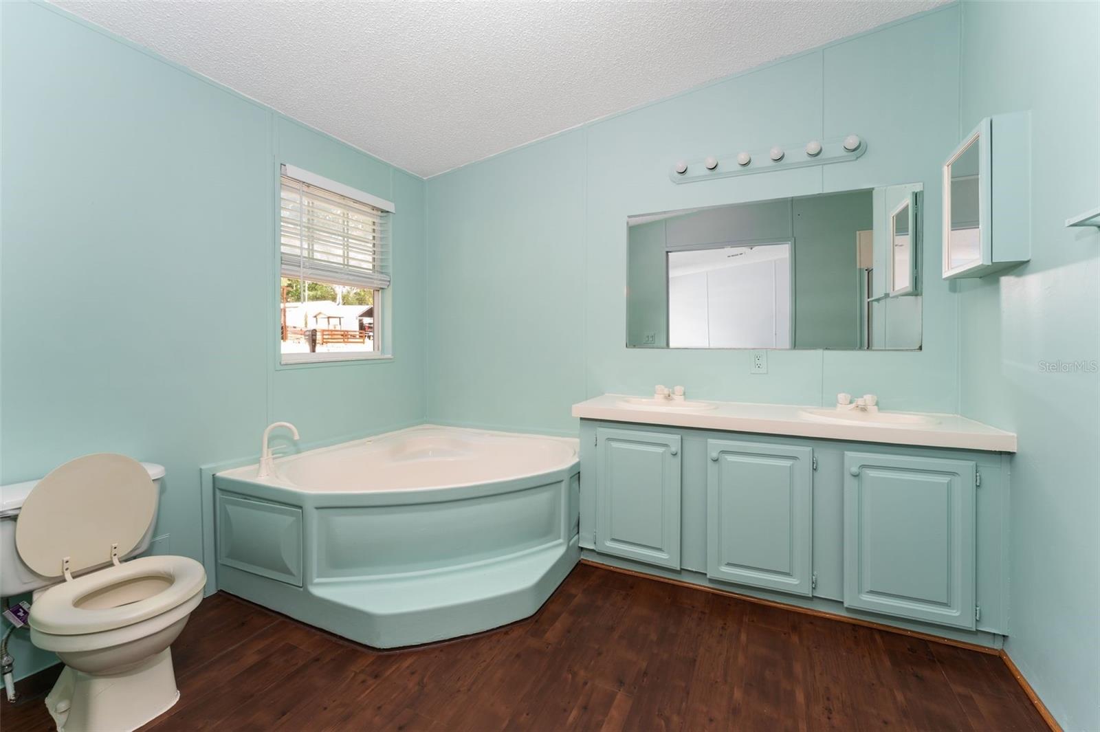 5841 SE 164TH AVE, OCKLAWAHA, FL, 32179