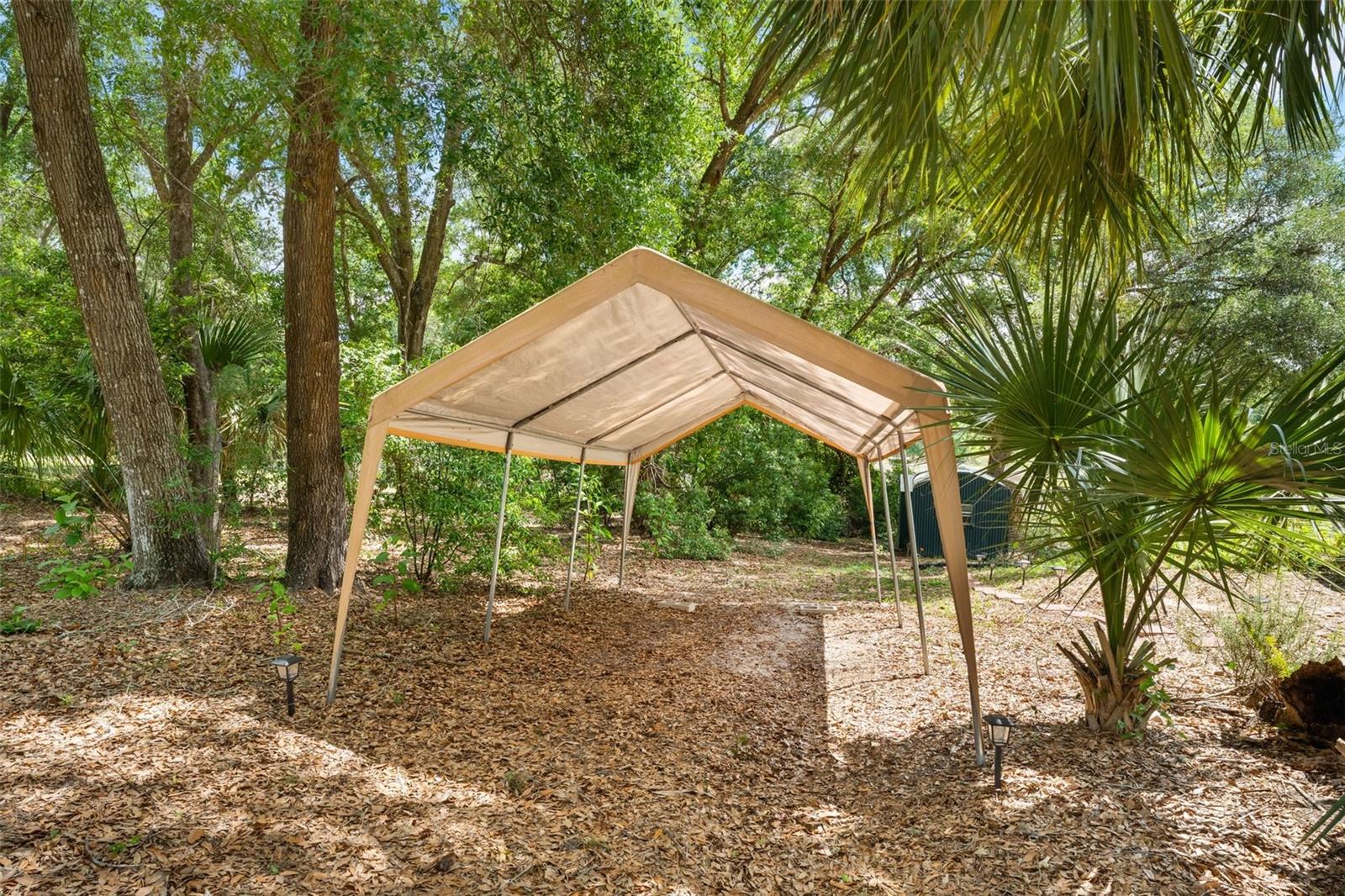 5841 SE 164TH AVE, OCKLAWAHA, FL, 32179