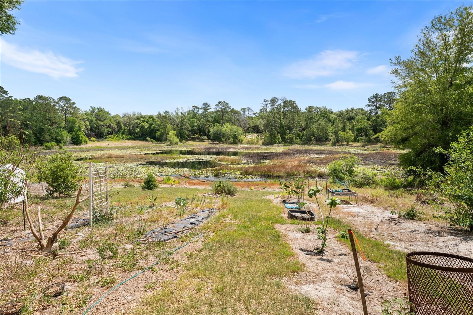 5841 SE 164TH AVE, OCKLAWAHA, FL, 32179