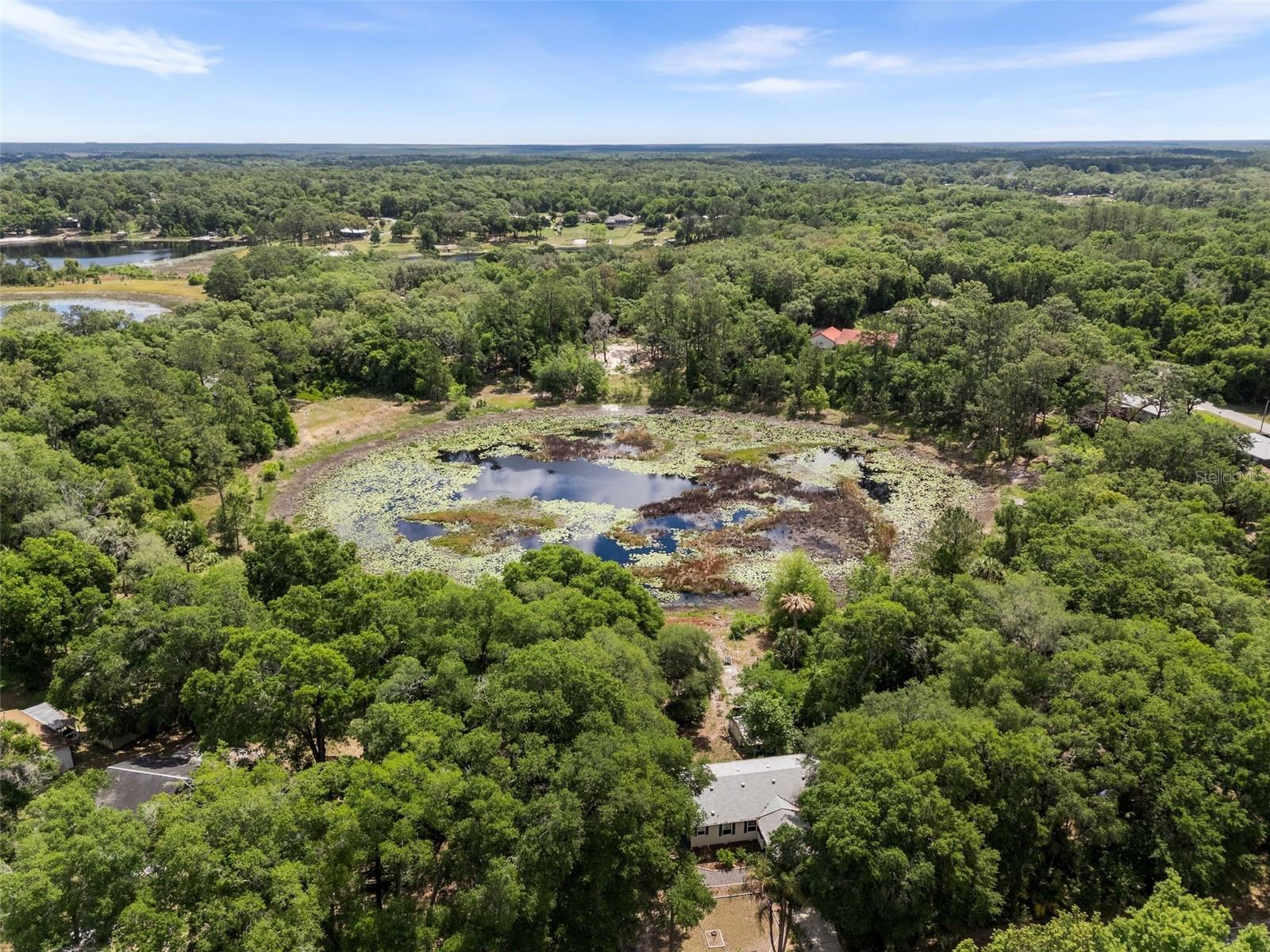 5841 SE 164TH AVE, OCKLAWAHA, FL, 32179