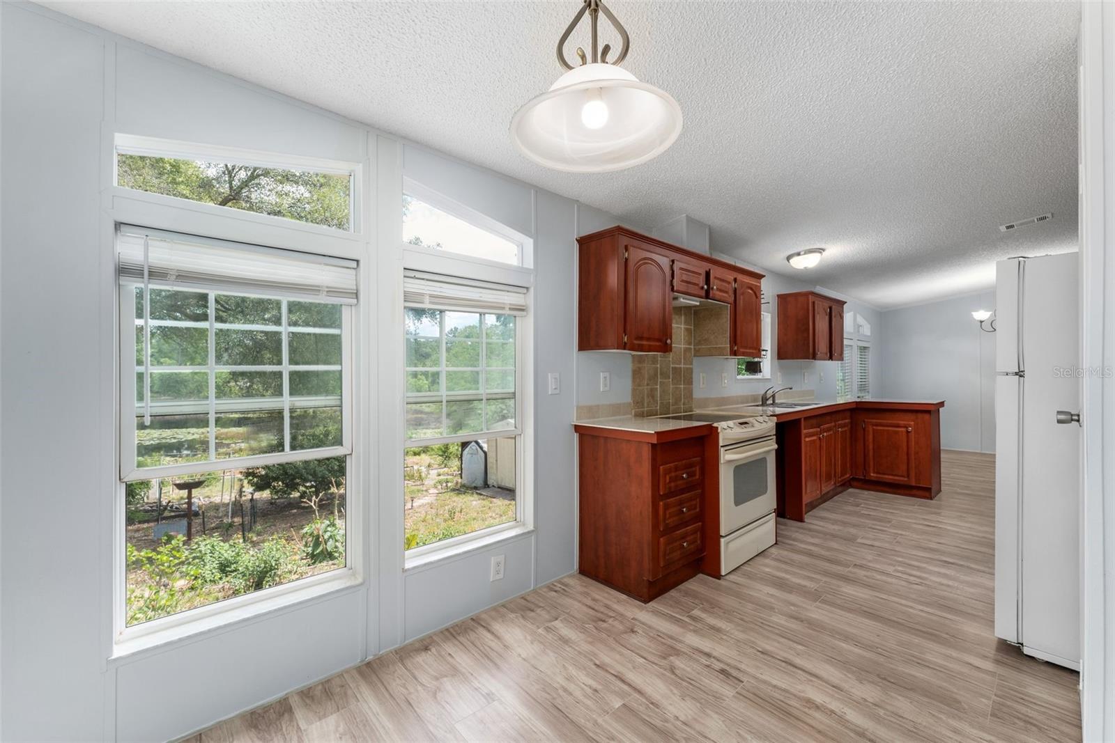 5841 SE 164TH AVE, OCKLAWAHA, FL, 32179