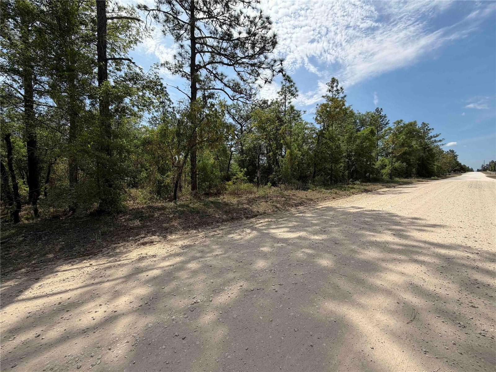 TBD NE 110 AVE, BRONSON, FL, 32621