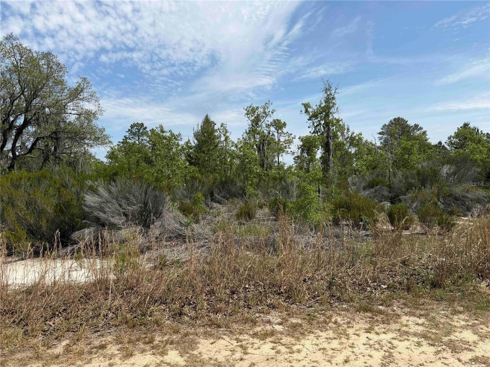 TBD NE 110 AVE, BRONSON, FL, 32621