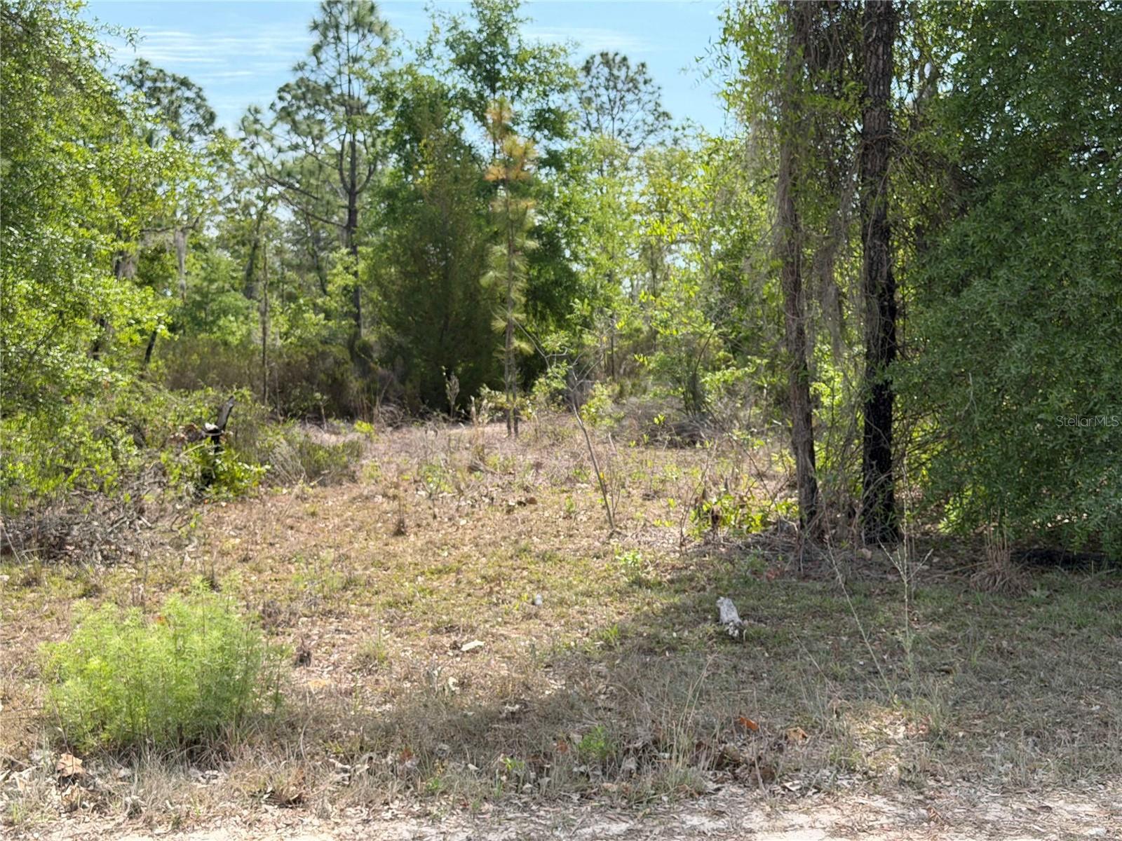 TBD NE 110 AVE, BRONSON, FL, 32621