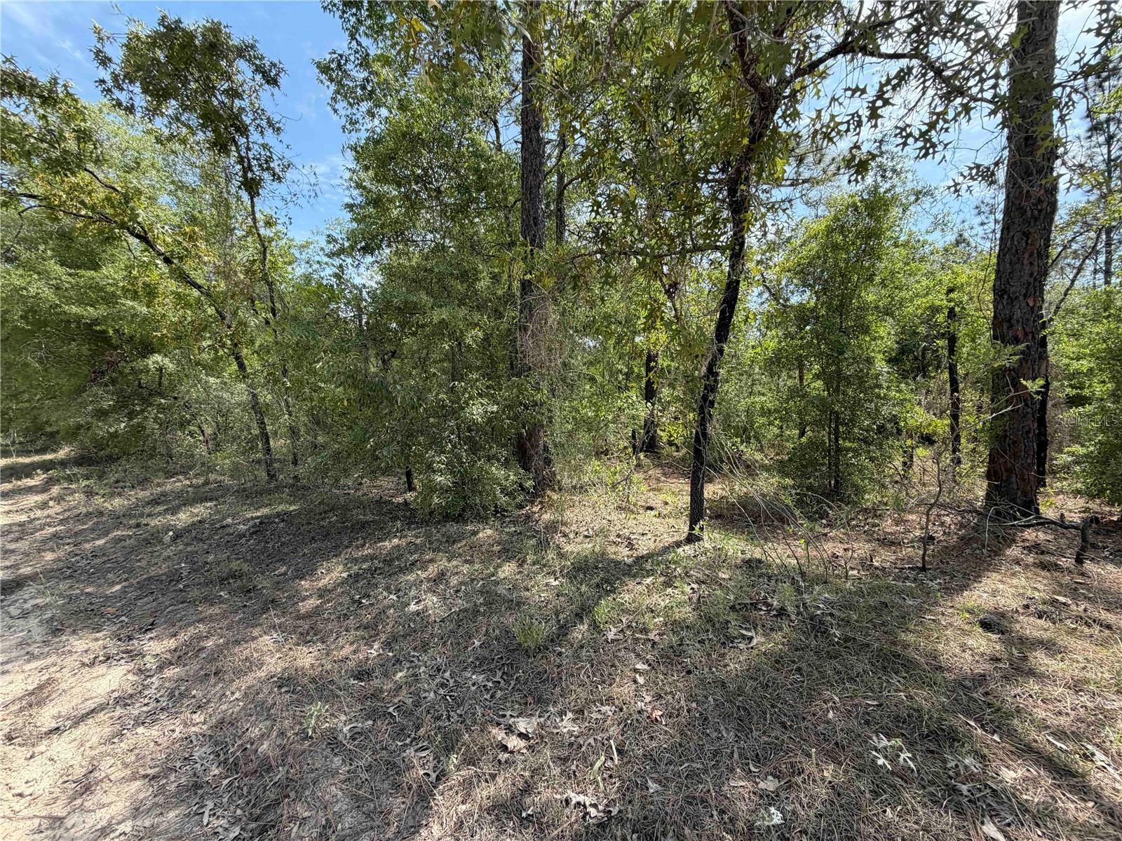 TBD NE 110 AVE, BRONSON, FL, 32621