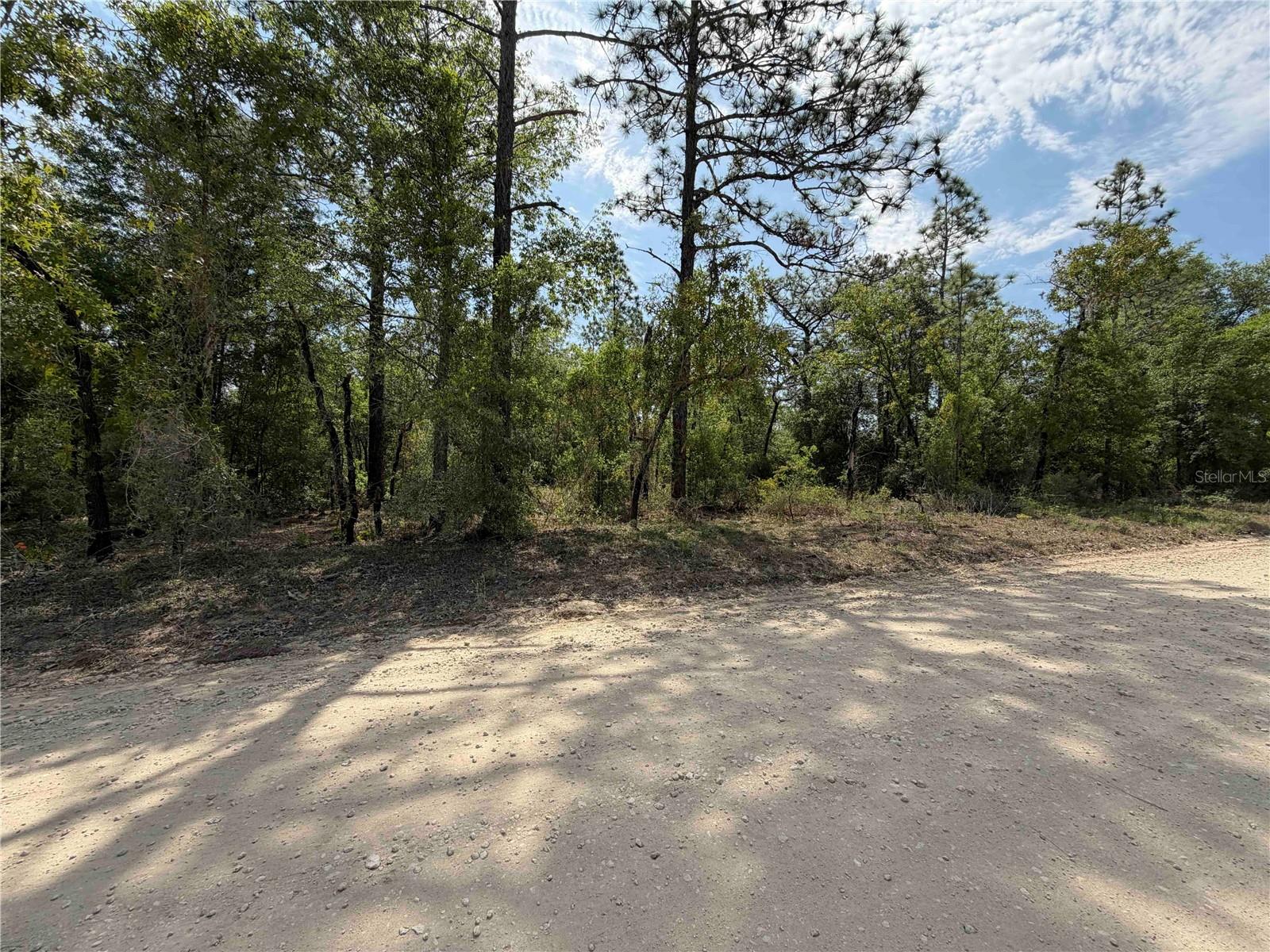 TBD NE 110 AVE, BRONSON, FL, 32621
