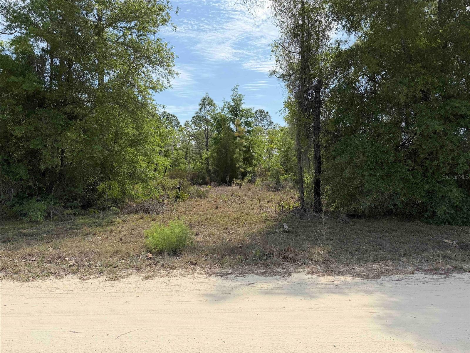 TBD NE 110 AVE, BRONSON, FL, 32621