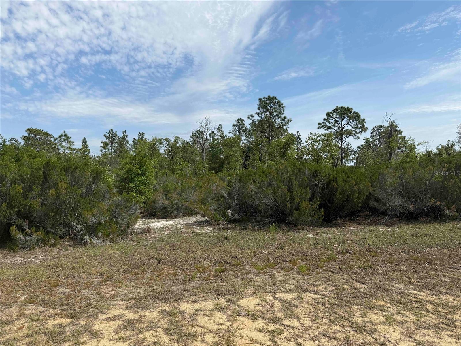 TBD NE 110 AVE, BRONSON, FL, 32621