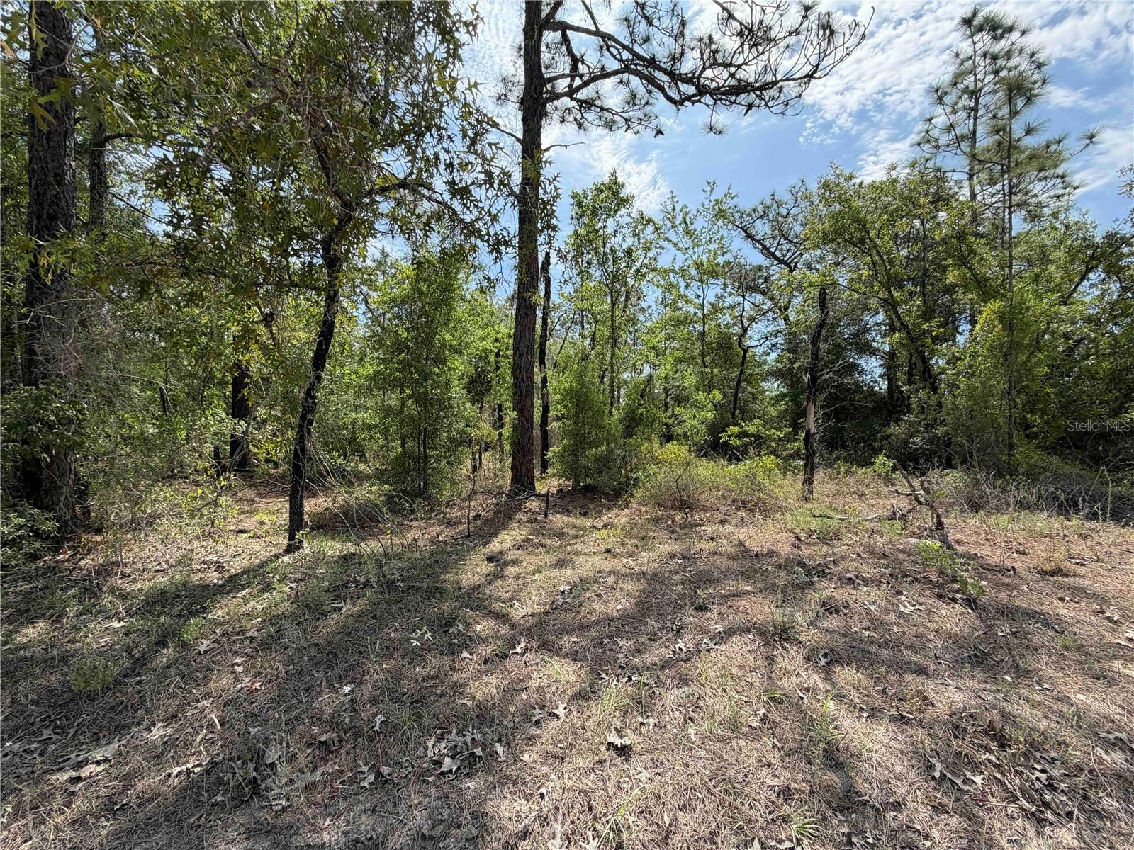 TBD NE 110 AVE, BRONSON, FL, 32621