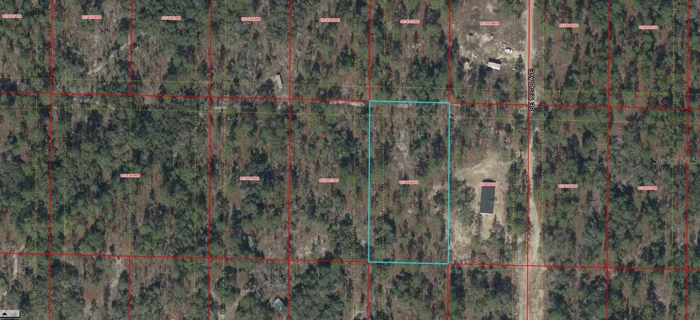 03743-082-00 SE 122ND AVE, MORRISTON, FL, 32668