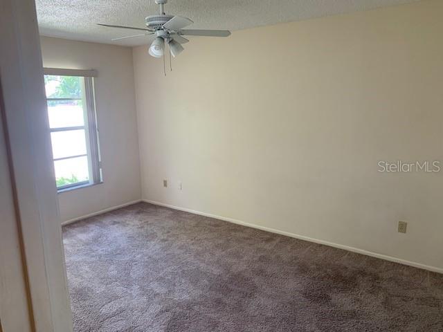 285 ROGERS CT, SAFETY HARBOR, FL, 34695