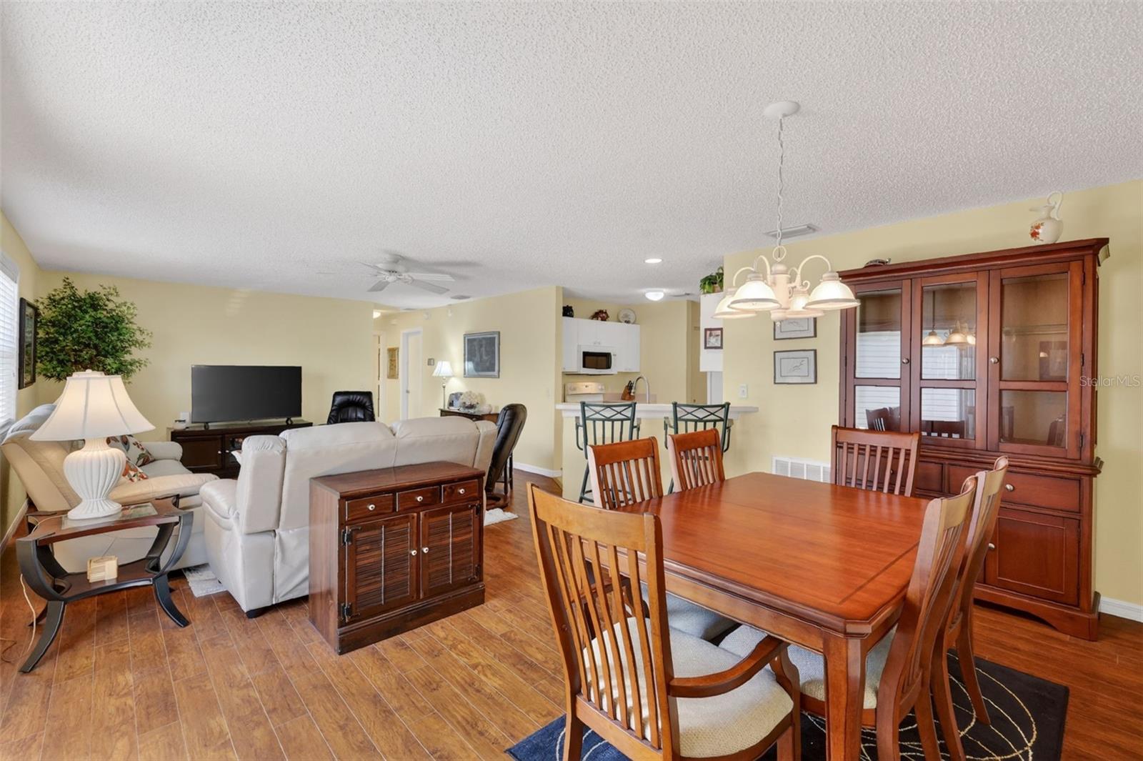 17395 SE 82ND PECAN TER, THE VILLAGES, FL, 32162