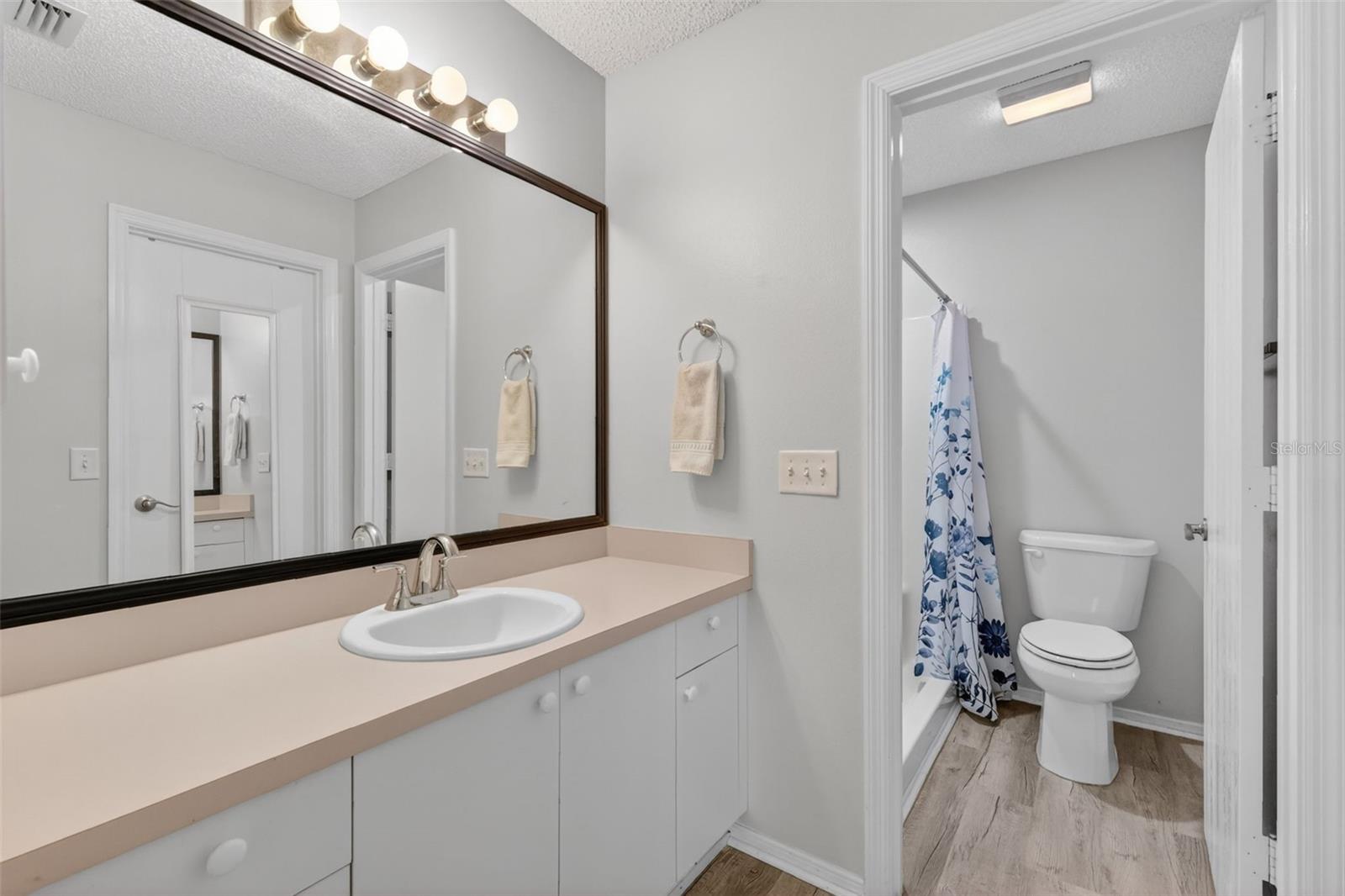 17395 SE 82ND PECAN TER, THE VILLAGES, FL, 32162