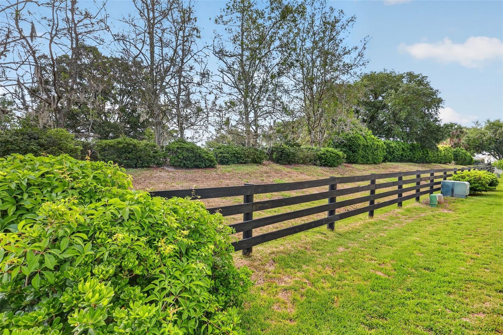 17395 SE 82ND PECAN TER, THE VILLAGES, FL, 32162