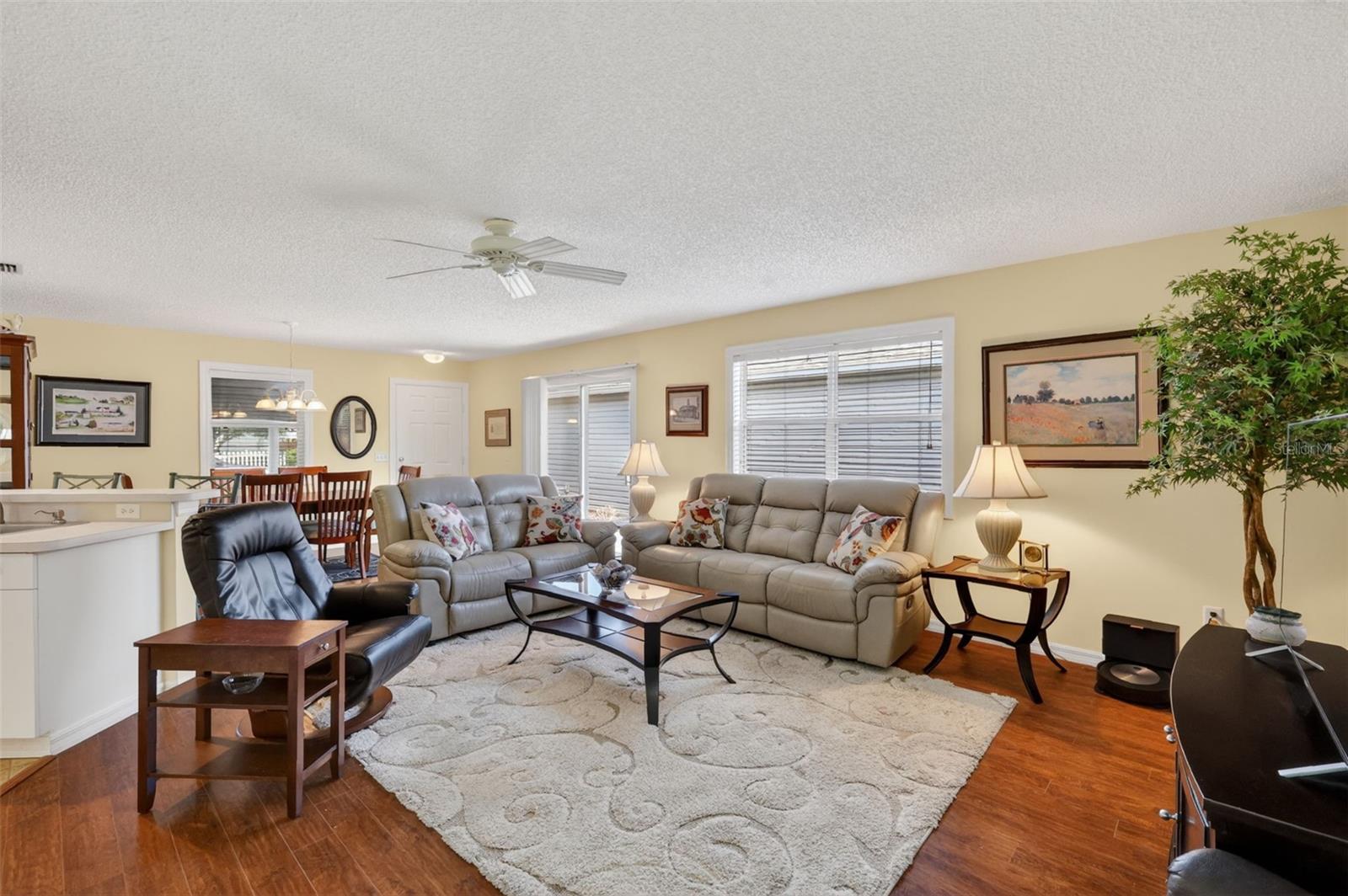 17395 SE 82ND PECAN TER, THE VILLAGES, FL, 32162