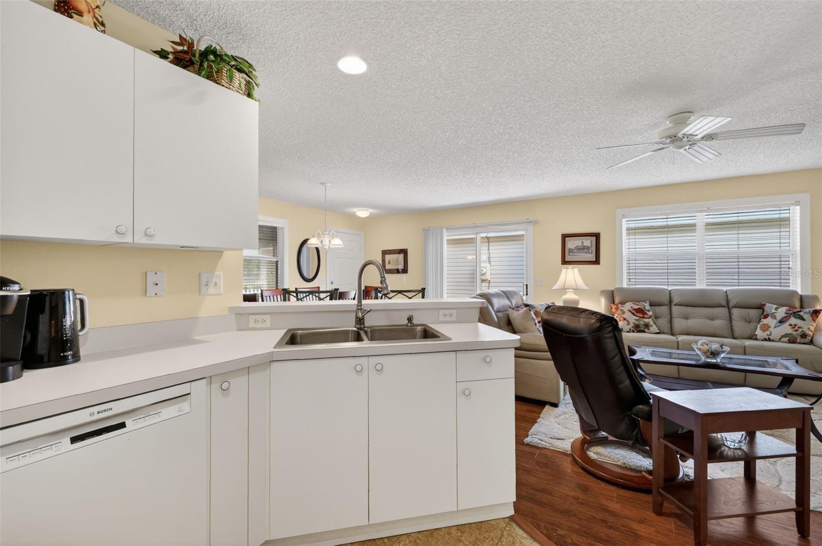 17395 SE 82ND PECAN TER, THE VILLAGES, FL, 32162