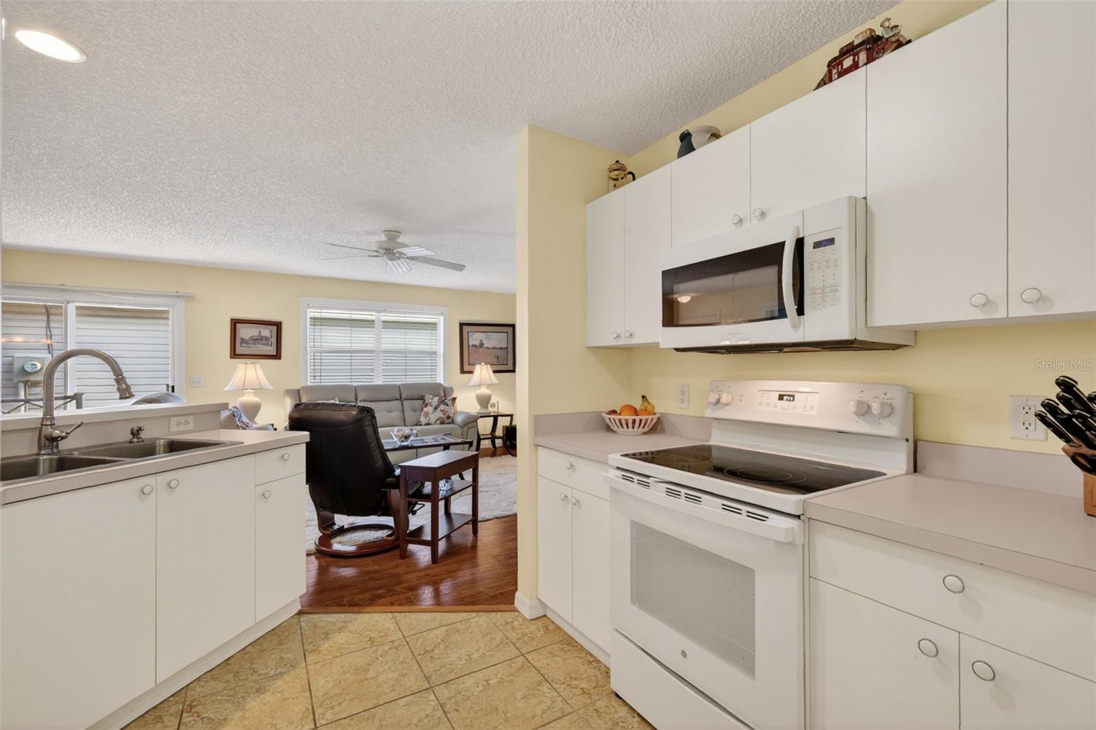 17395 SE 82ND PECAN TER, THE VILLAGES, FL, 32162