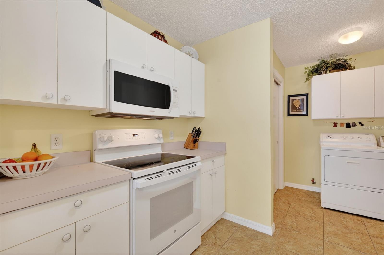 17395 SE 82ND PECAN TER, THE VILLAGES, FL, 32162