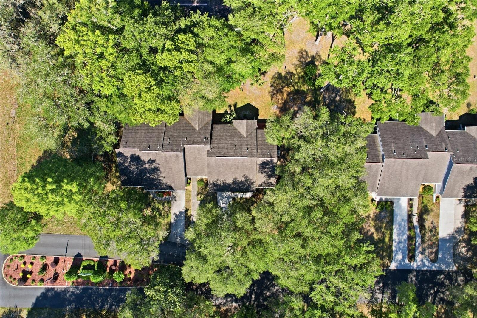 3840 N PARKSIDE VILLAGE TER, BEVERLY HILLS, FL, 34465