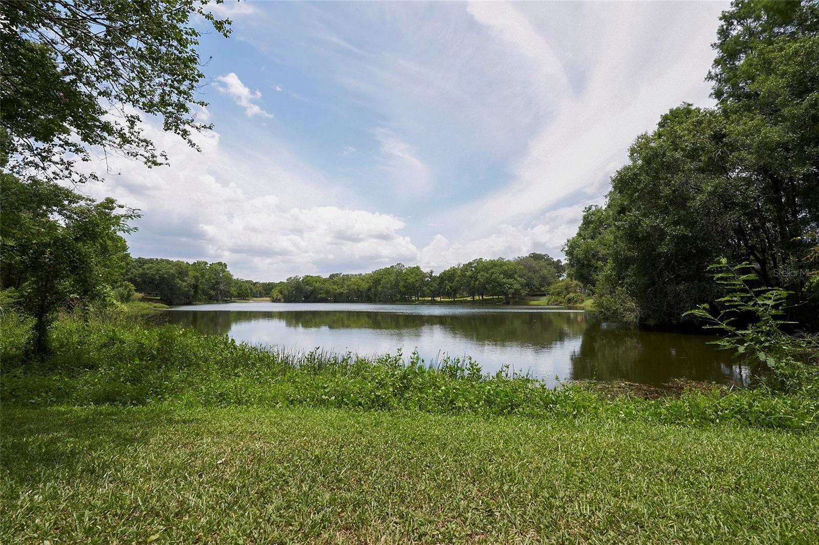 11905 LAKEMIST CIR #74, TEMPLE TERRACE, FL, 33617