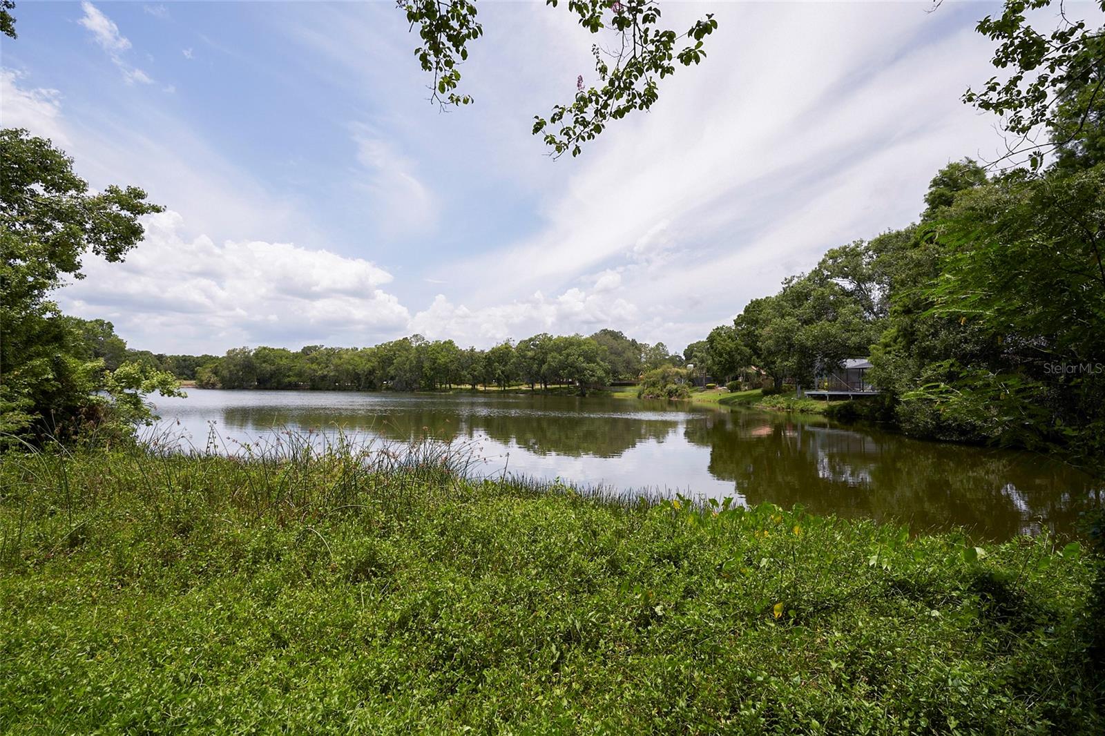 11905 LAKEMIST CIR #74, TEMPLE TERRACE, FL, 33617