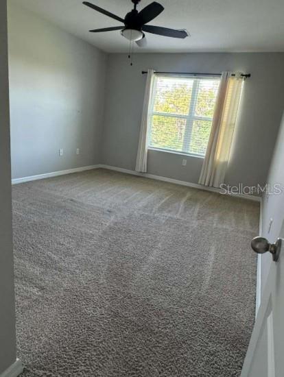 8708 ICE WINE ST, SARASOTA, FL, 34238