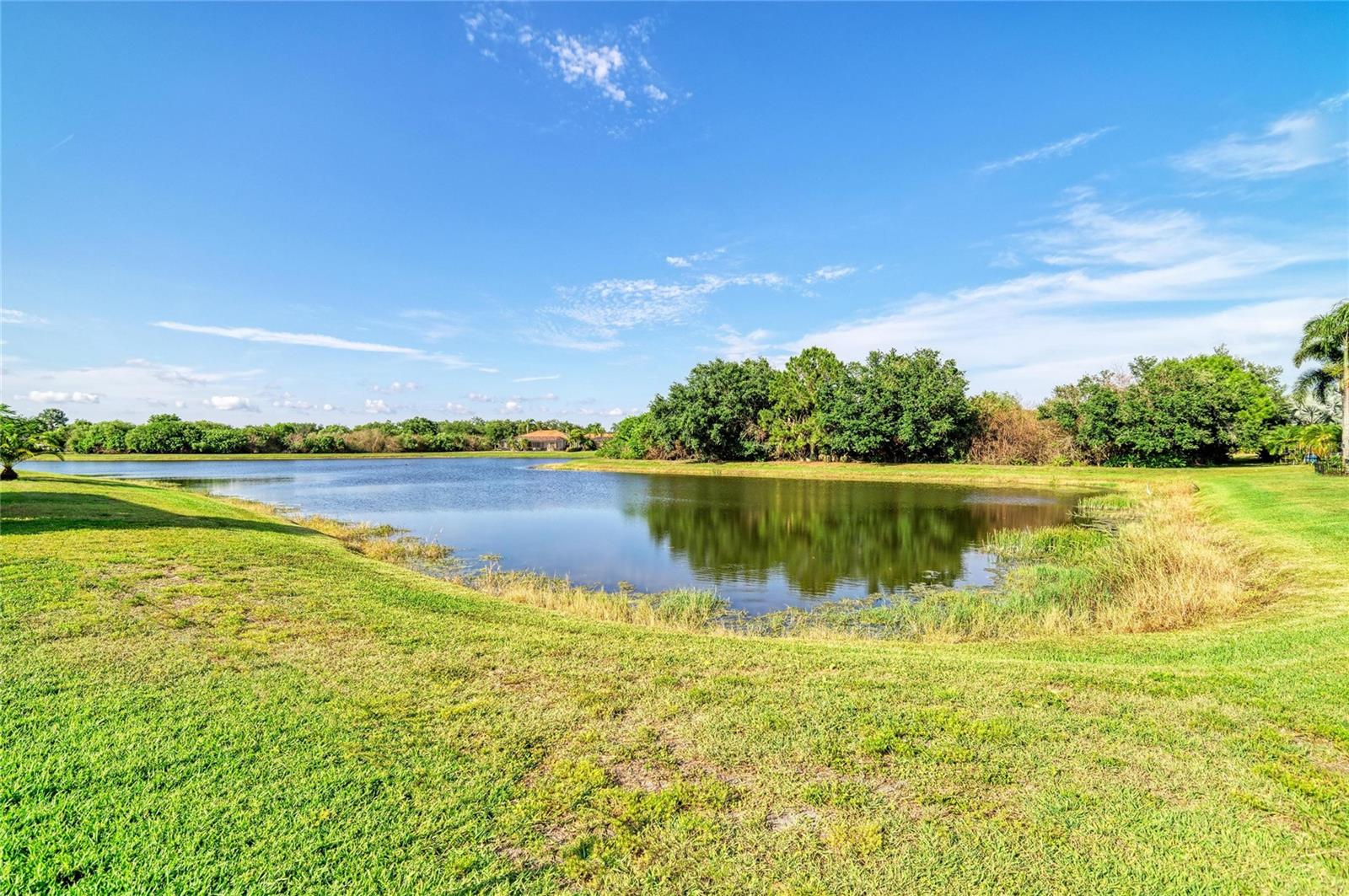 259 DOVE TRL, BRADENTON, FL, 34212