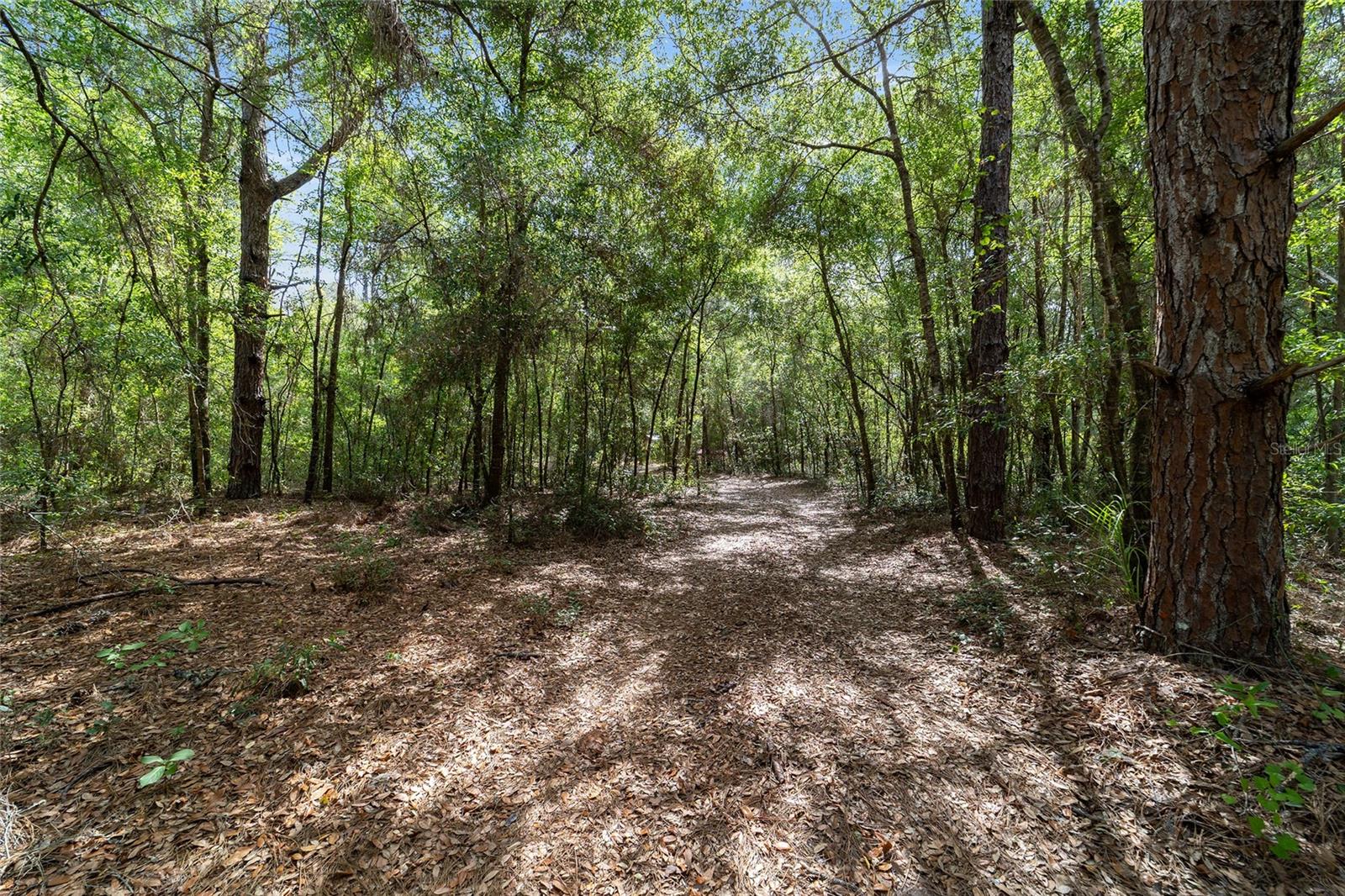11953 N GLENVIEW AVE, DUNNELLON, FL, 34434