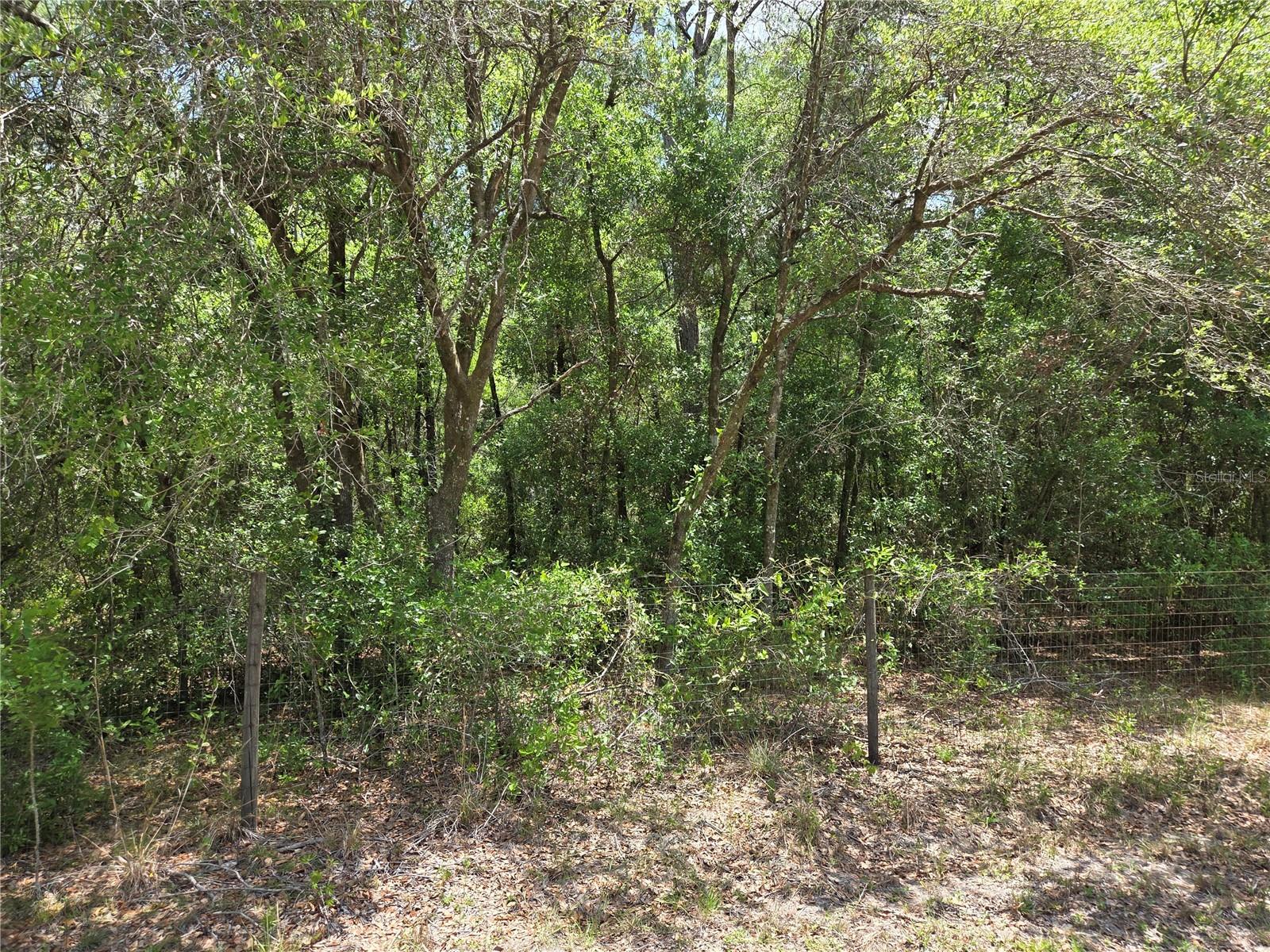 11953 N GLENVIEW AVE, DUNNELLON, FL, 34434