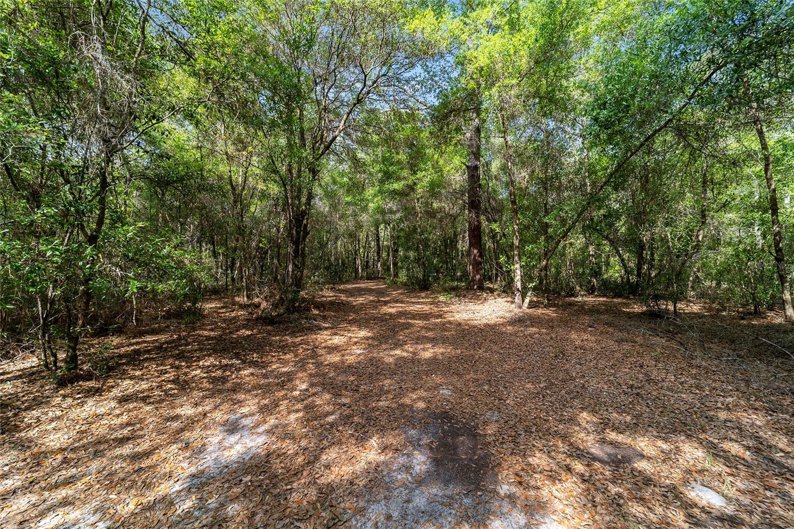 11953 N GLENVIEW AVE, DUNNELLON, FL, 34434