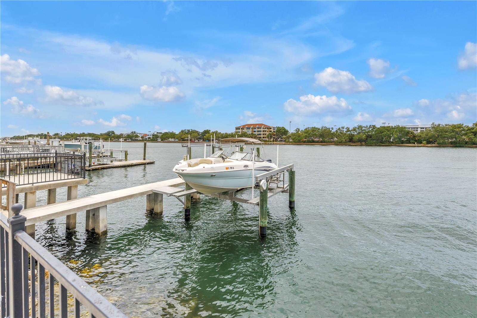 1133 ABBEYS WAY, TAMPA, FL, 33602