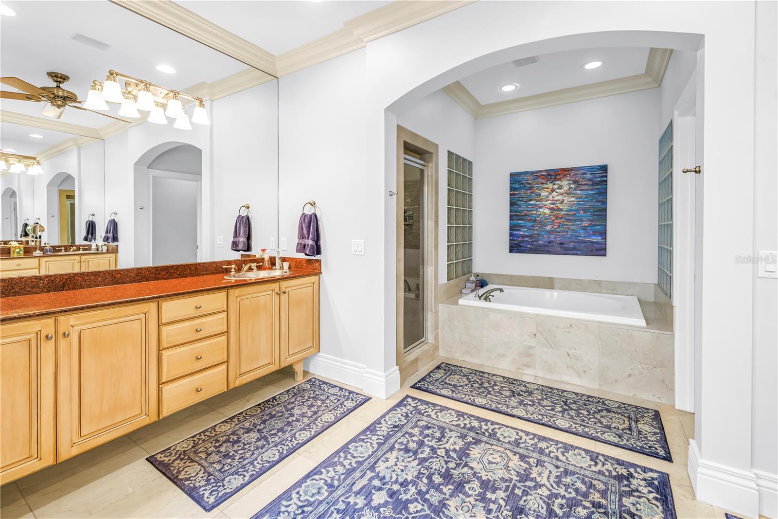 1133 ABBEYS WAY, TAMPA, FL, 33602