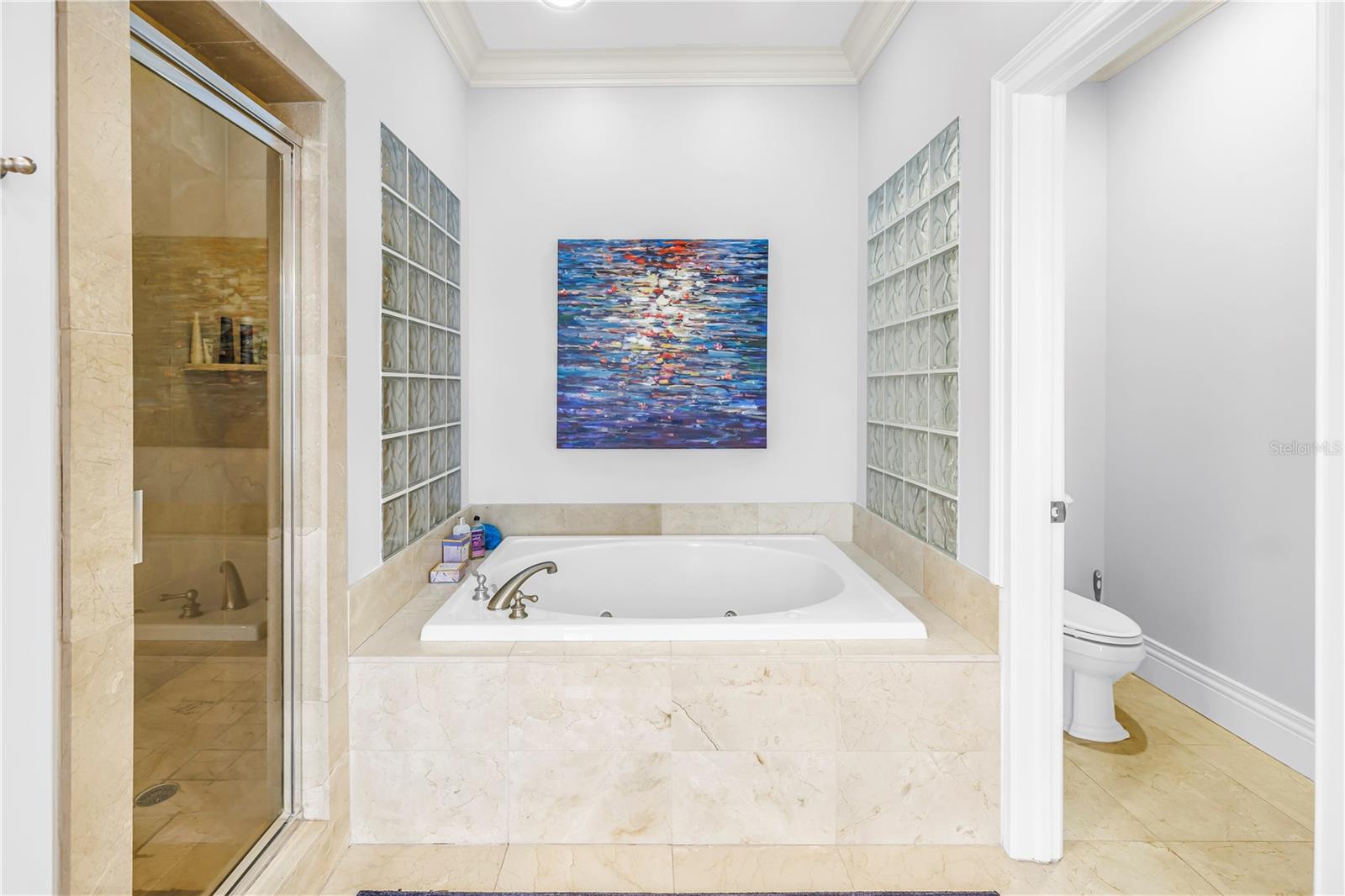 1133 ABBEYS WAY, TAMPA, FL, 33602