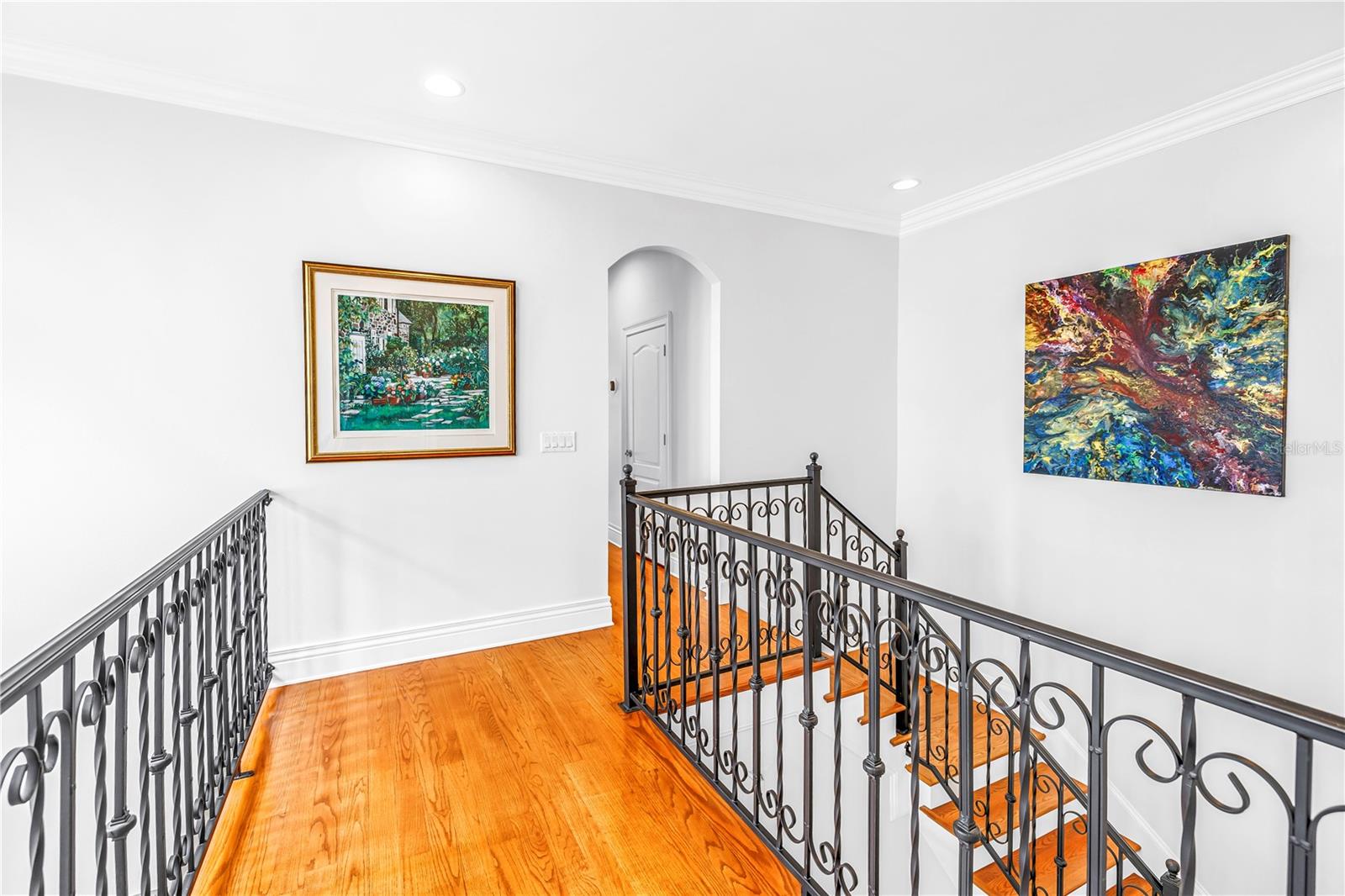 1133 ABBEYS WAY, TAMPA, FL, 33602