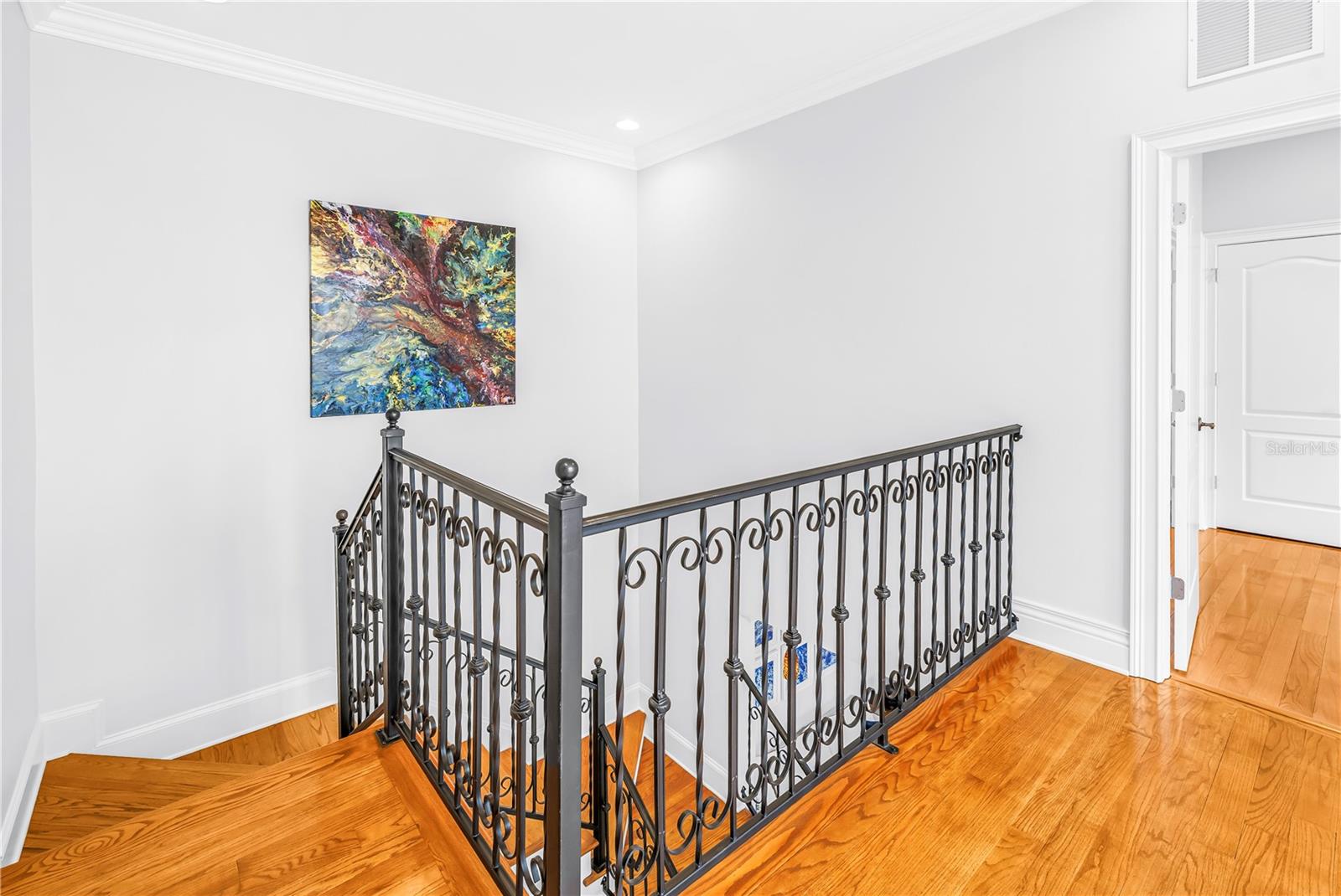 1133 ABBEYS WAY, TAMPA, FL, 33602