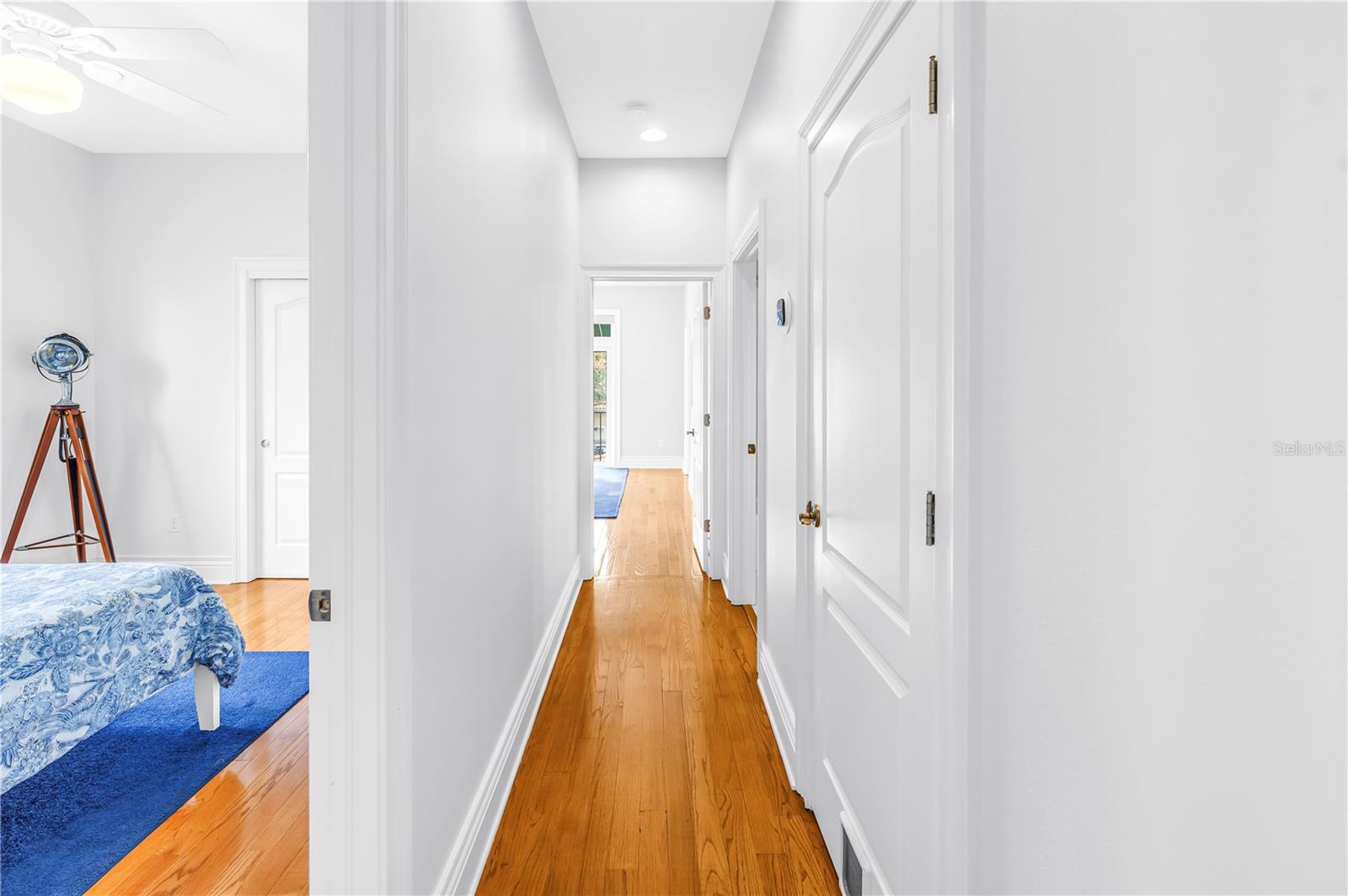 1133 ABBEYS WAY, TAMPA, FL, 33602