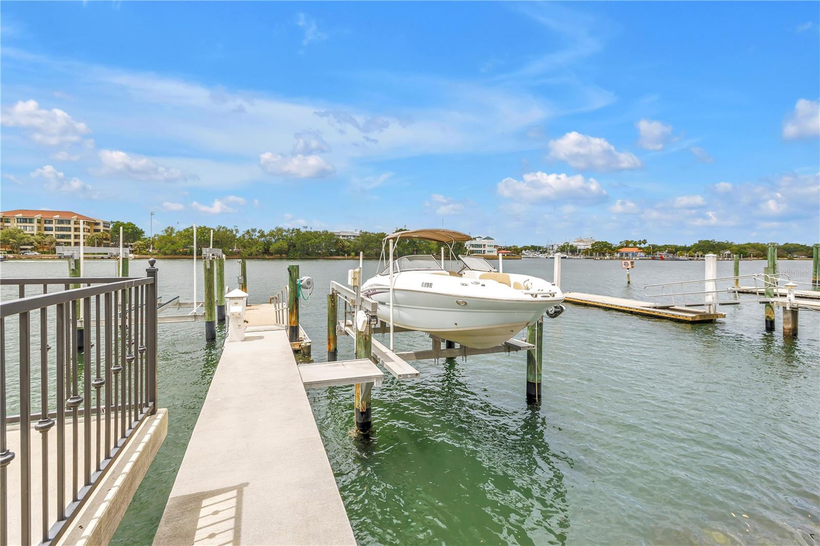 1133 ABBEYS WAY, TAMPA, FL, 33602